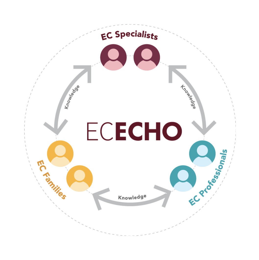 ECHO explanation